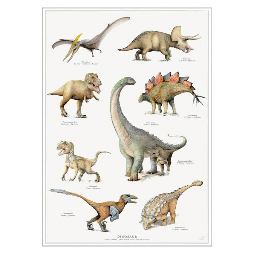  Dinosaurer Plakat A2 