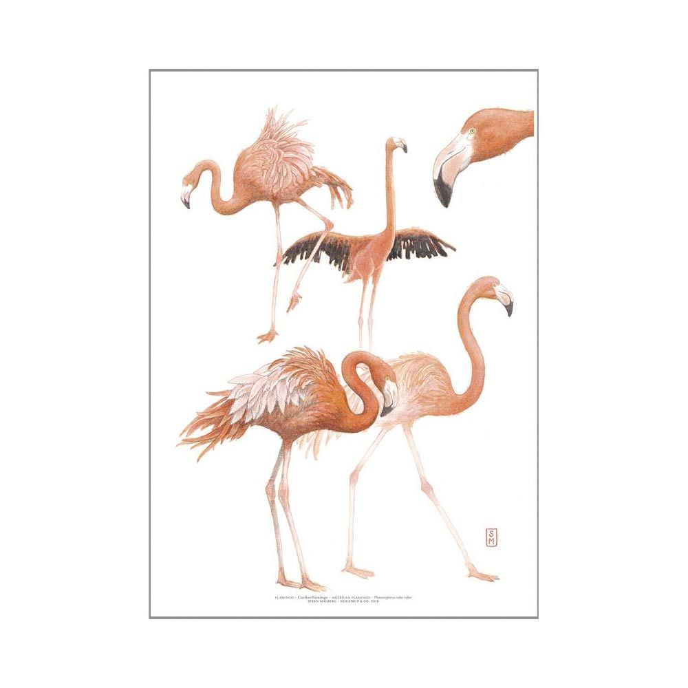Kunsttryk A3 Flamingo