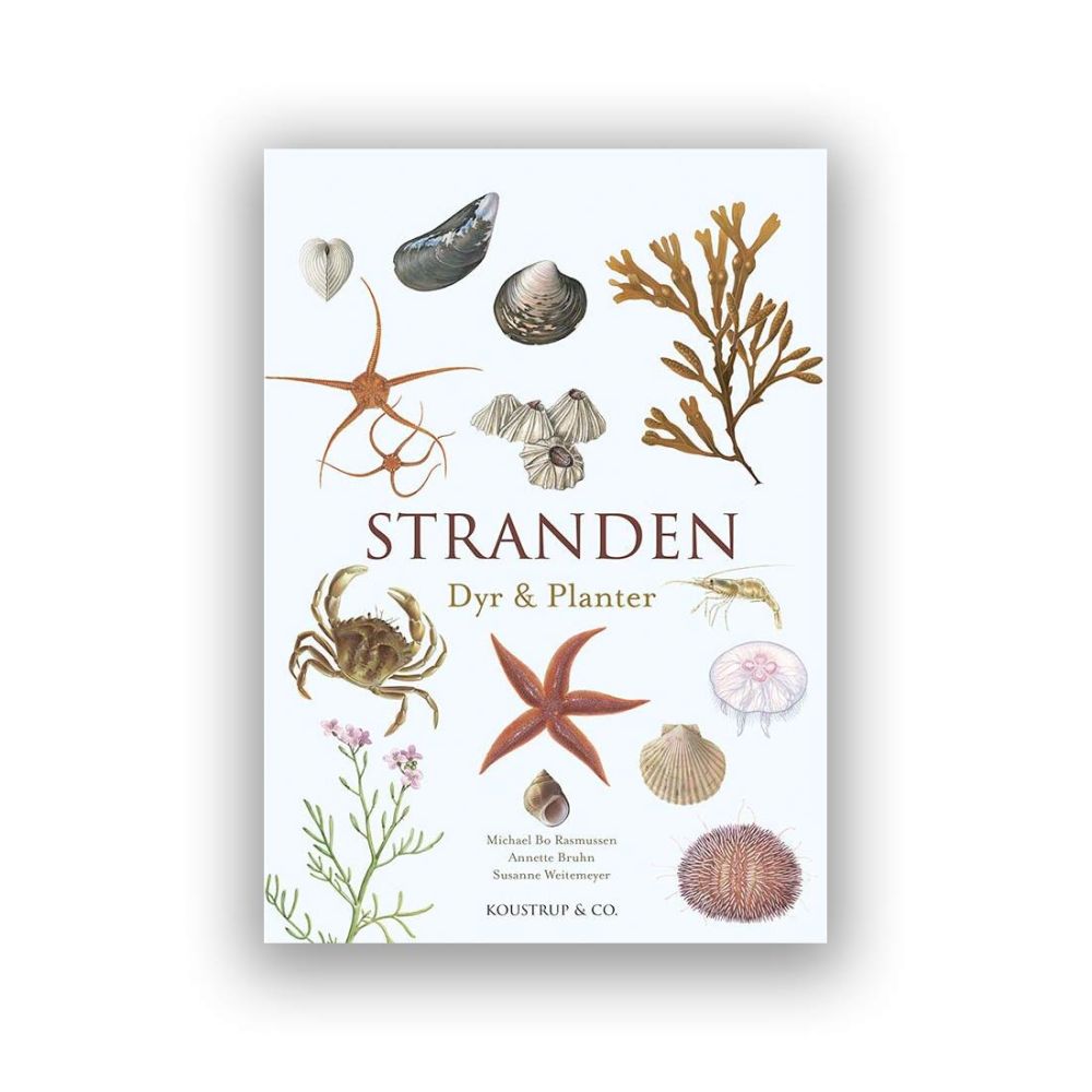 Bog Stranden Dyr & Planter hardcover