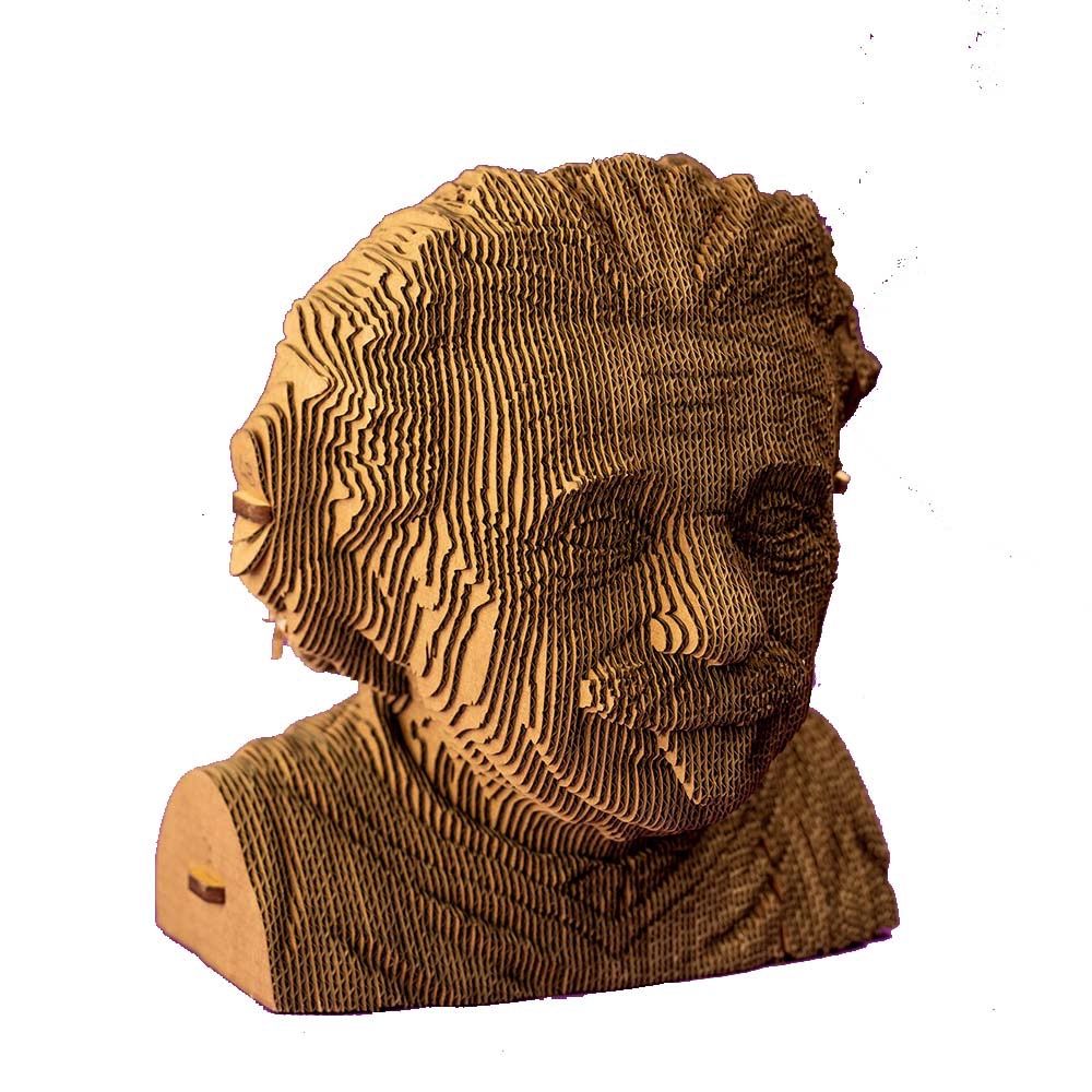 Cartonic 3D Puslespil Einstein 14-99 år