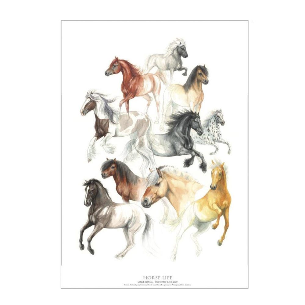  Horse Life Hesteliv Plakat A2 