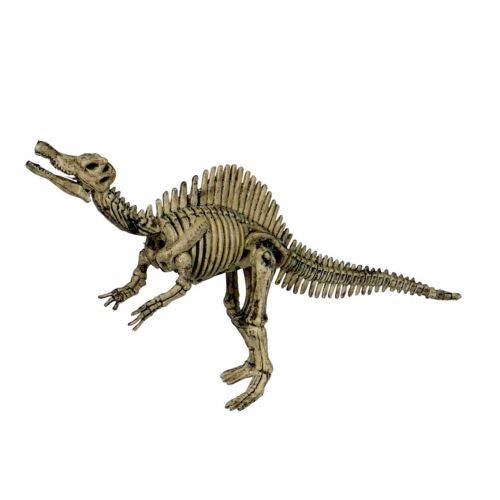 Udgravning af Spinosaurus dinosaur