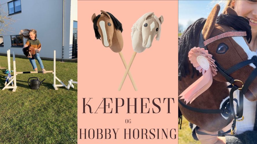 Kæphest og Hobby horsing. Læs om sporten her. Se også, hvilke kæpheste man kan ride på til stævner. Olisan.dk.