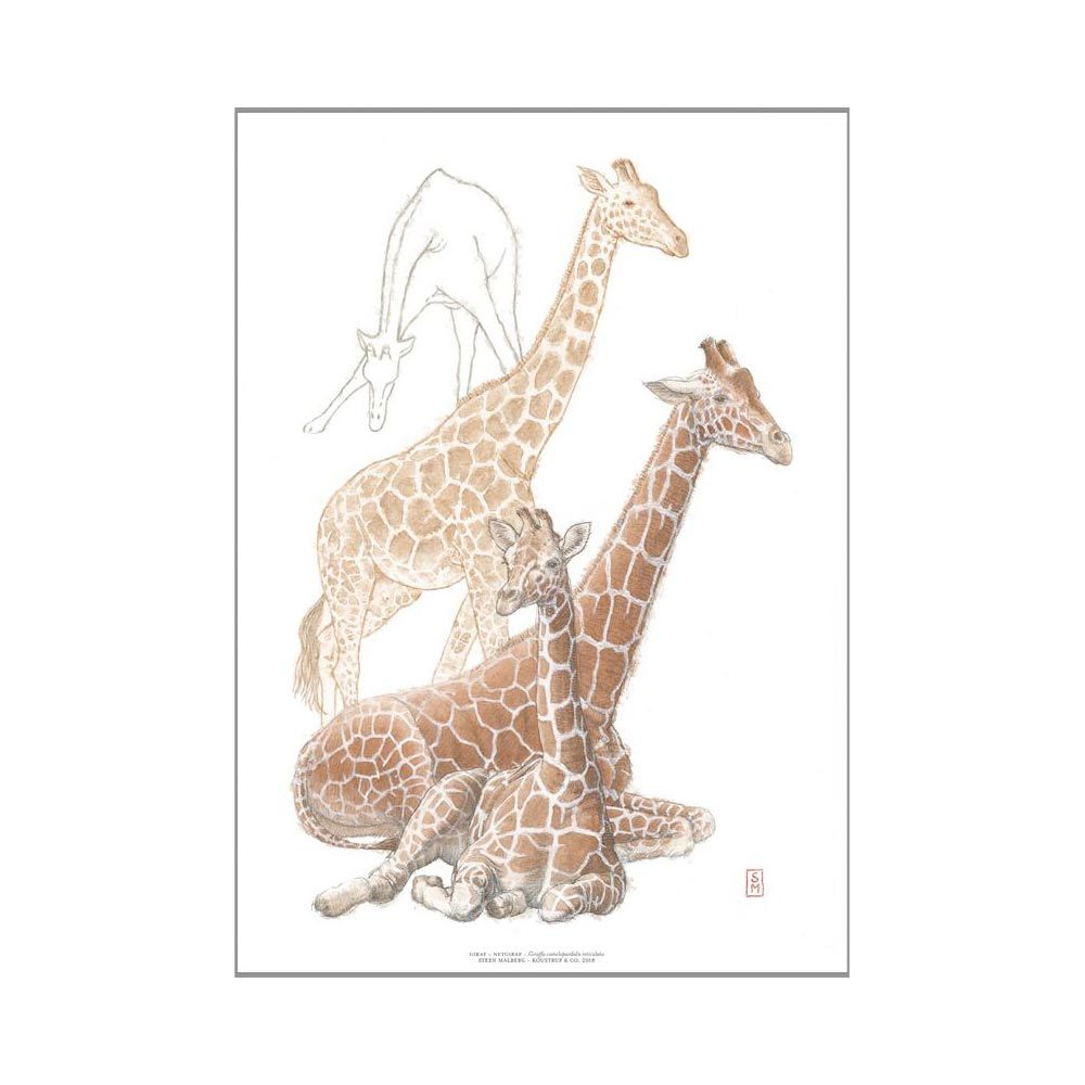 Kunsttryk A3 Giraf