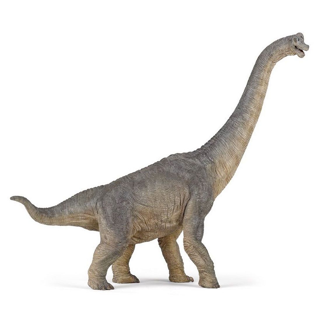 Papo Brachiosaurus dinosaur også kendt som langhals. Håndmalet dinosaur figur.