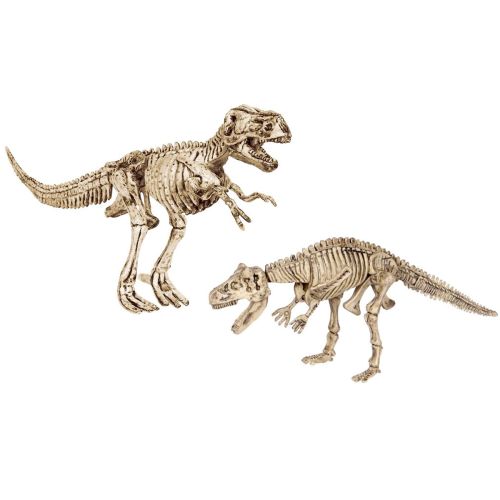 Udgravning 2 stk. T-Rex og Carnotaurus