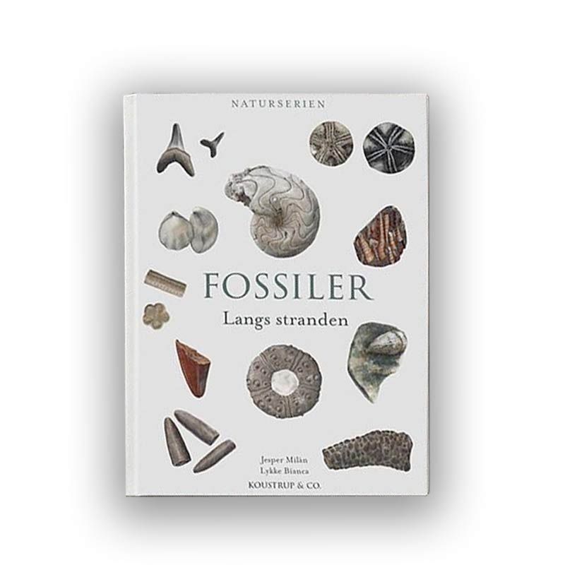 Bog Fossiler langs stranden hardcover