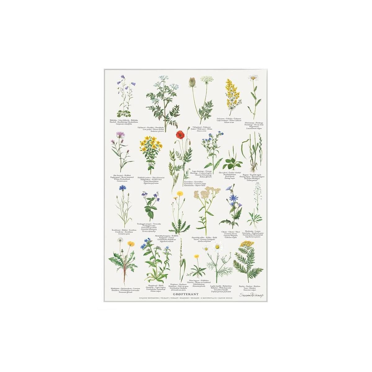 Koustrup & Co plakat med 23 planter fra grøftekanten