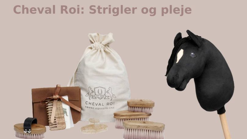 Cheval Roi: strigler og pleje sæt til kæphest
