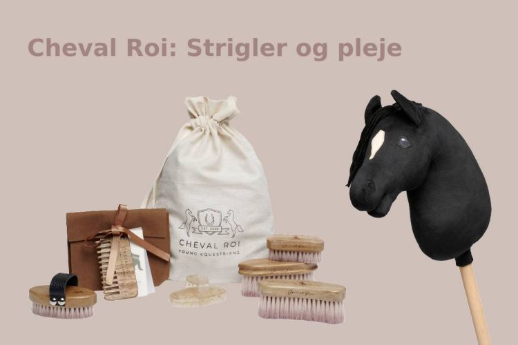 Cheval Roi: strigler og pleje sæt til kæphest