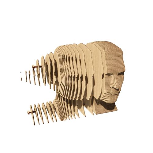 Cartonic 3D Puslespil Freddie 14-99 år