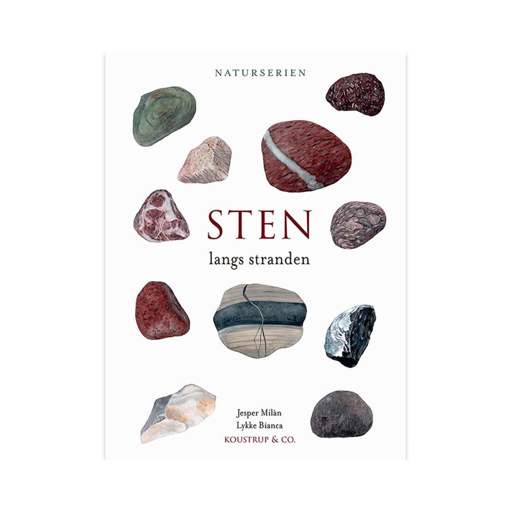 Bog Sten langs stranden Hardcover