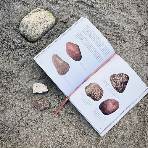 Bog Sten langs stranden Hardcover
