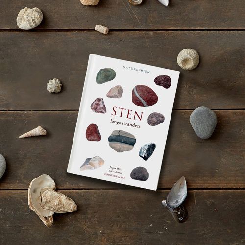 Bog Sten langs stranden Hardcover
