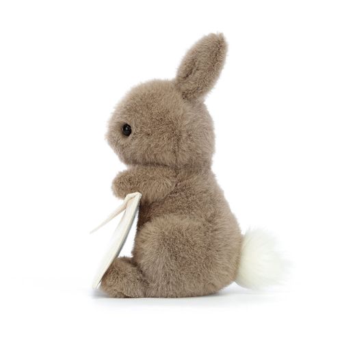 Jellycat Kanin med Brev 23 cm 