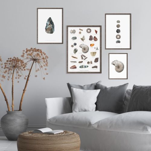 Søpindsvin Kunstprint A2