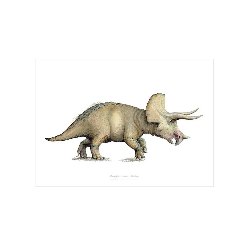 Triceratops Kunstprint A3