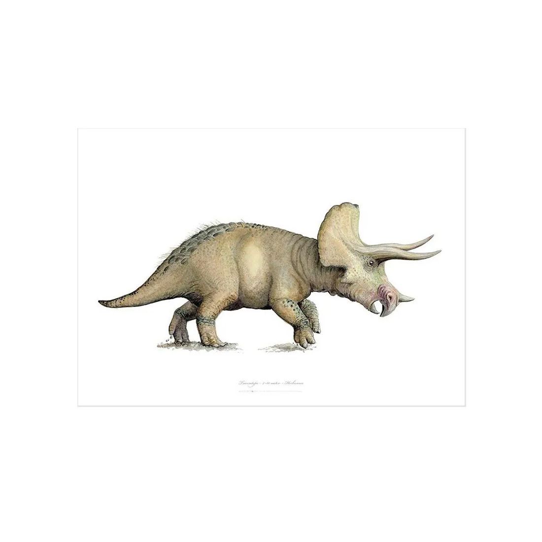 Triceratops Kunstprint A3