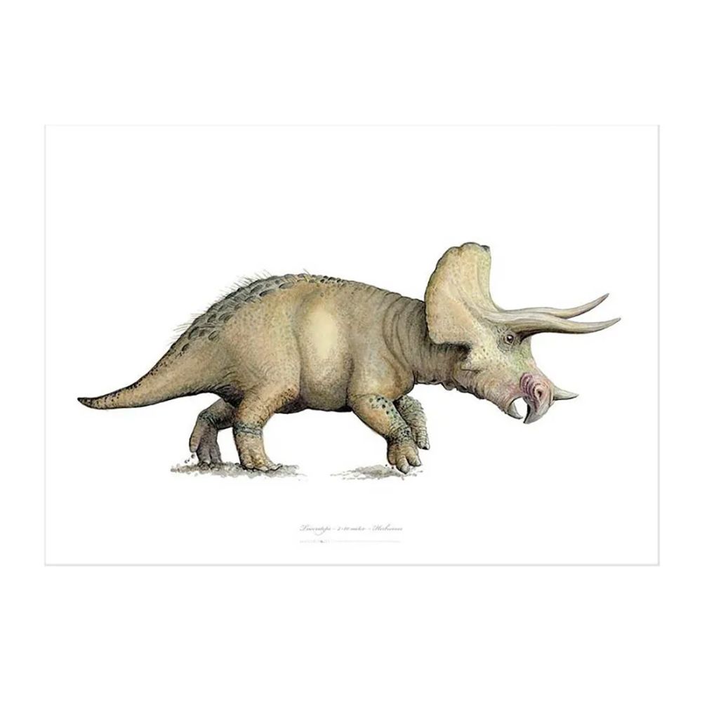Triceratops Kunstprint A2