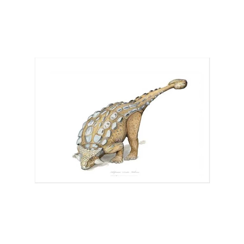 Ankylosaurus Kunstprint A3