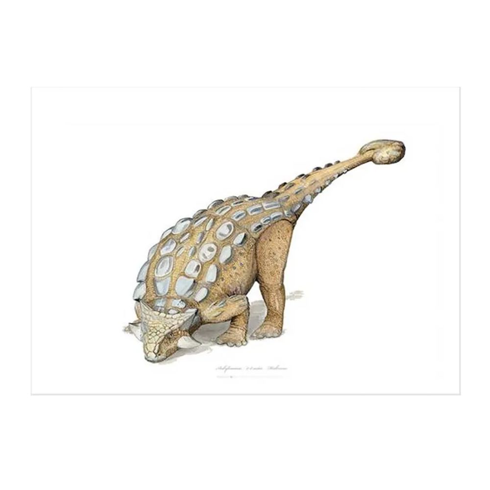 Ankylosaurus Kunstprint A2