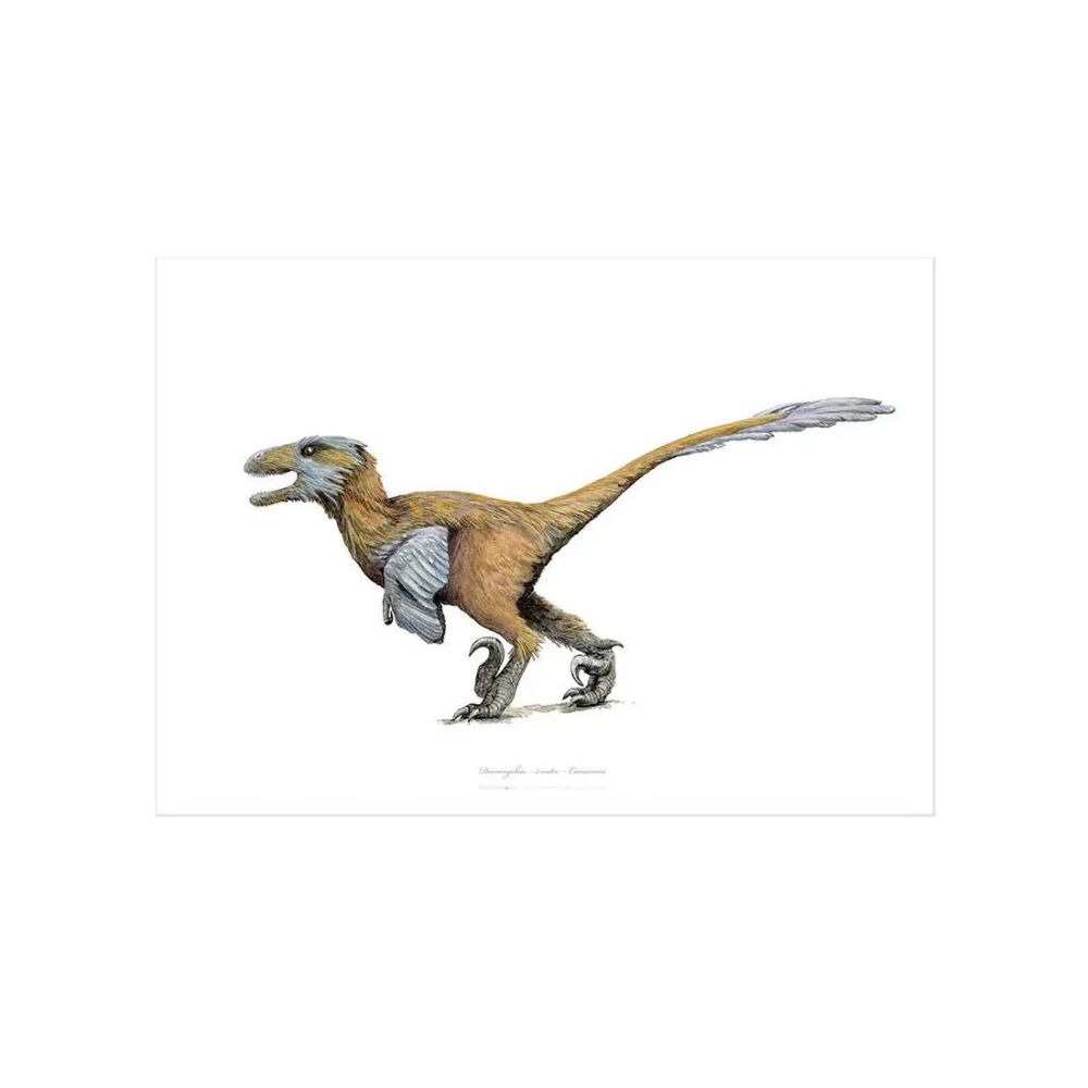 Deinonychus Kunstprint A3