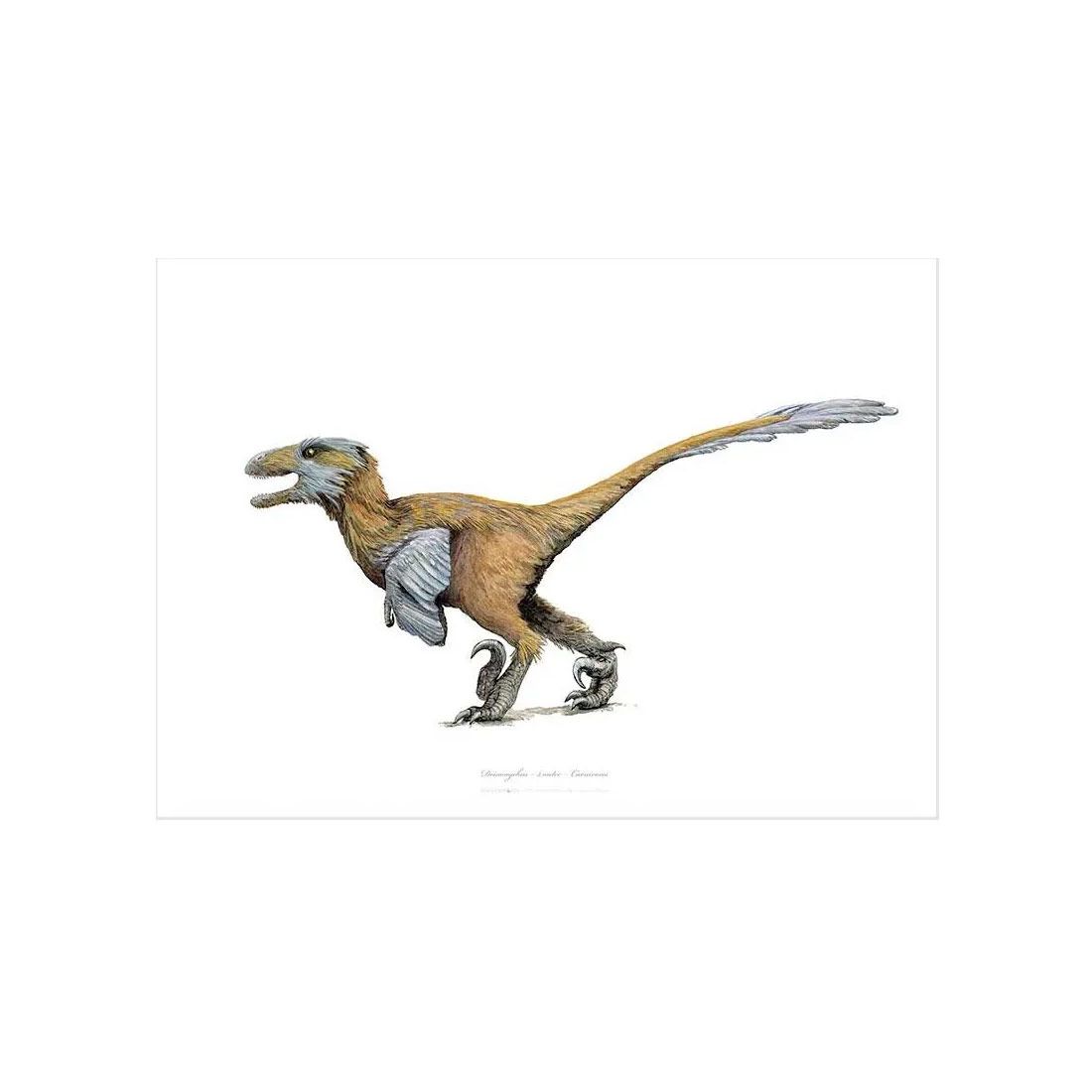 Deinonychus Kunstprint A3