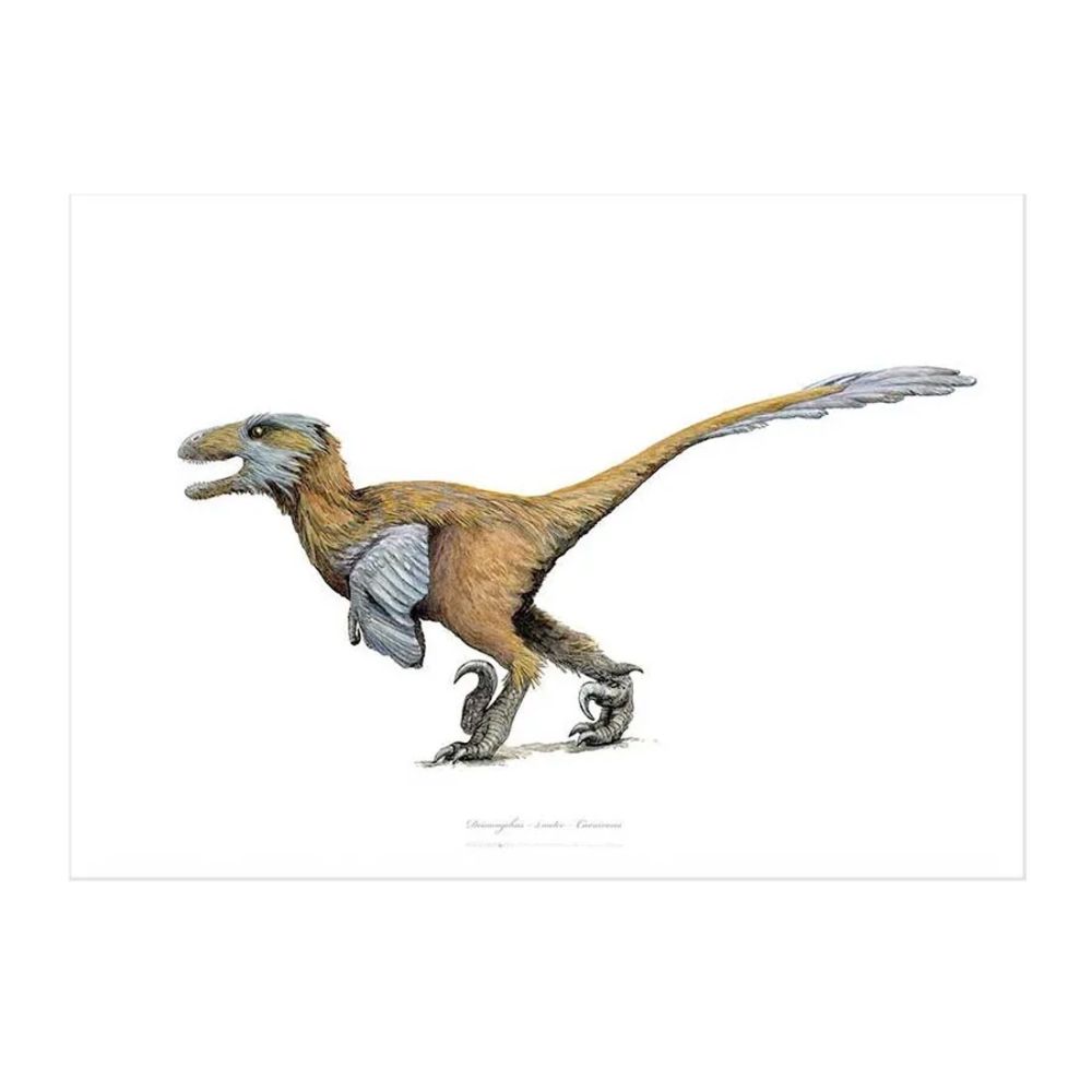 Deinonychus Kunstprint A2