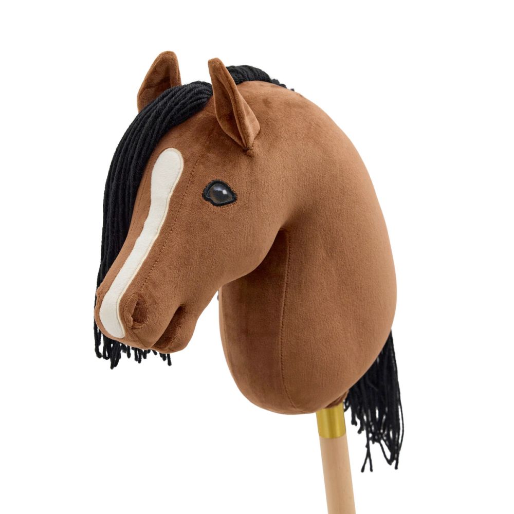 CHEVAL ROI Kæphest Charlie brun 