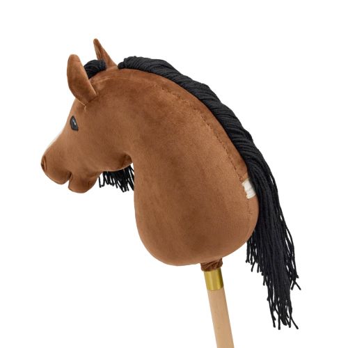 CHEVAL ROI Kæphest Charlie brun