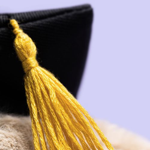 Jellycat Kanin Bashful Beige med Graduations hat 31 cm