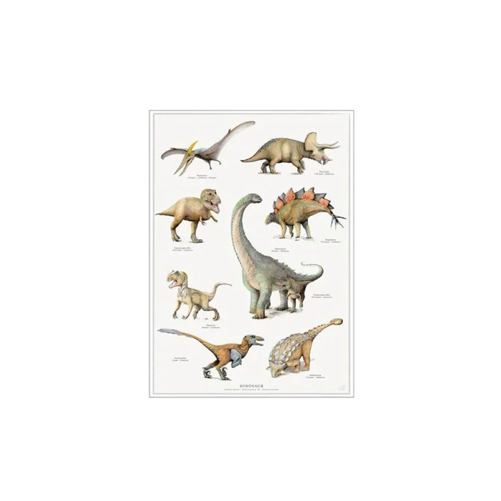 Dinosaurer Plakat A4