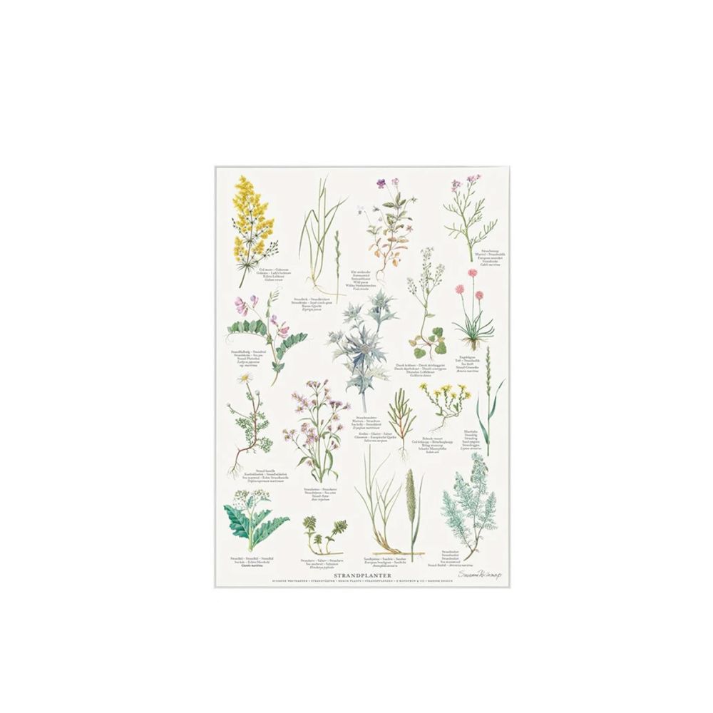 Strandplanter Plakat A4