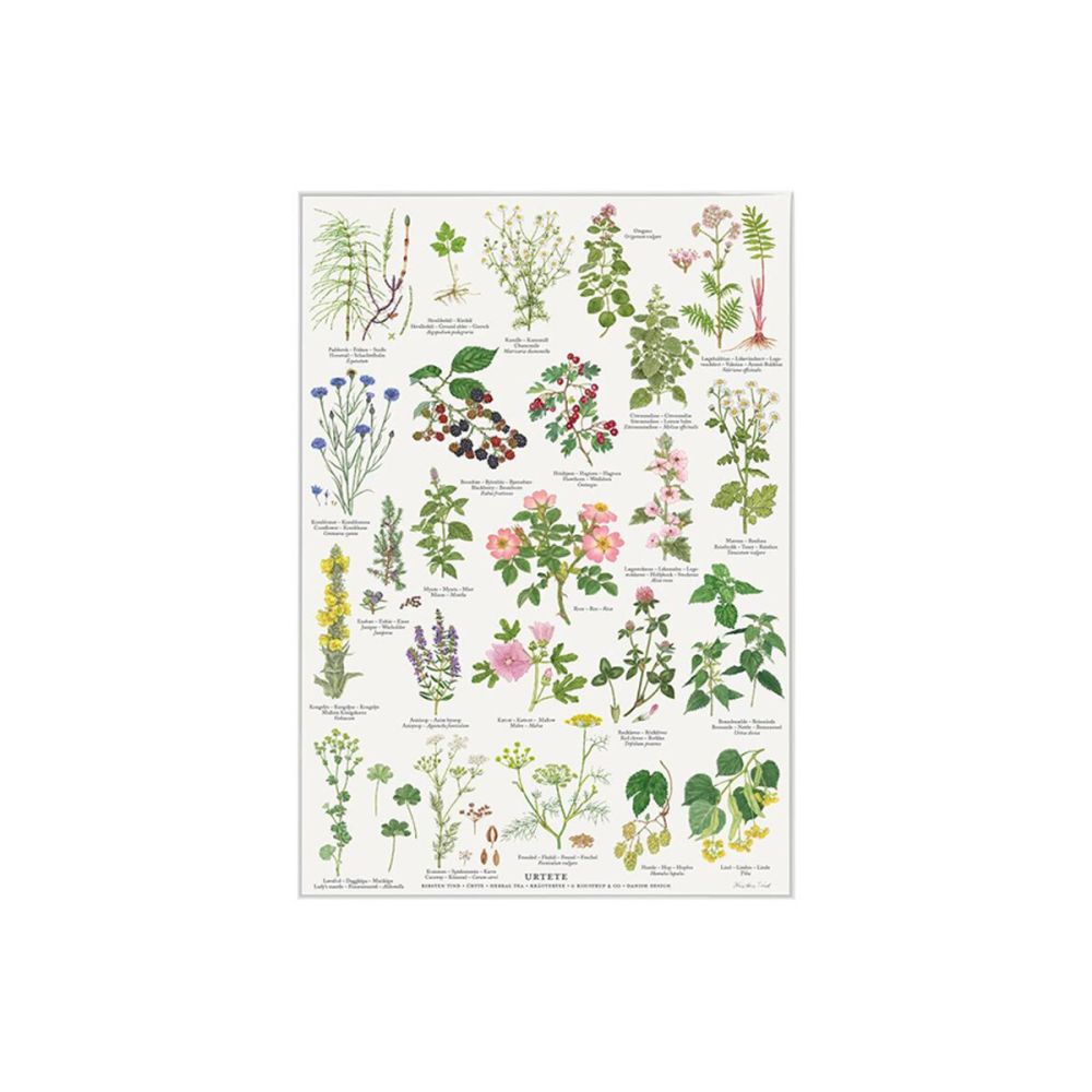 Urtete Plakat A4