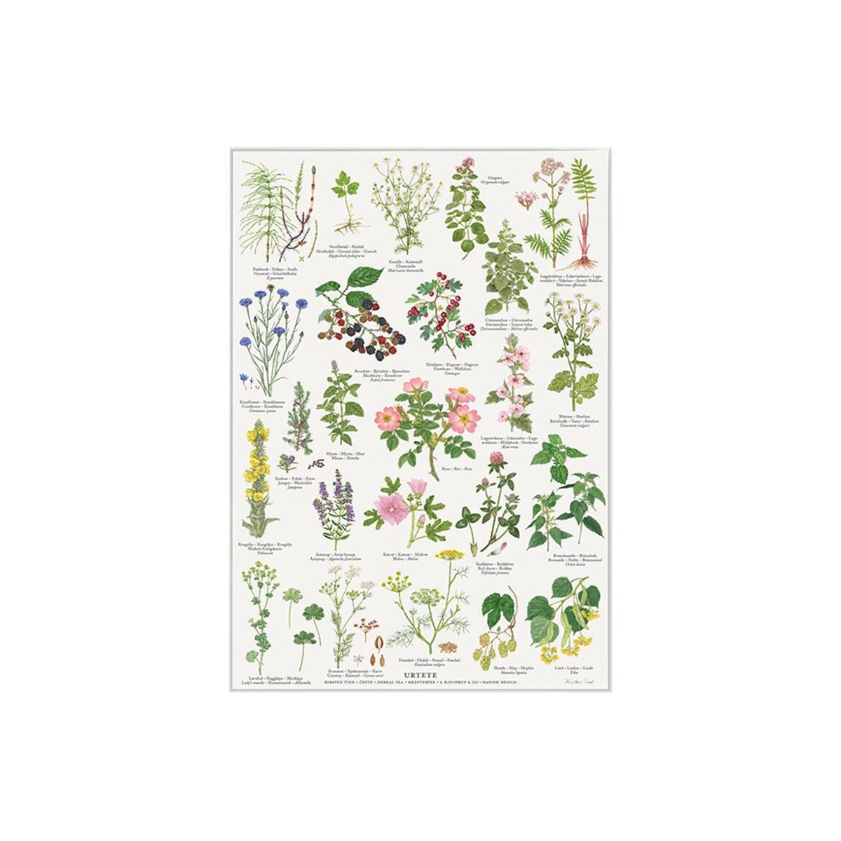 Urtete Plakat A4