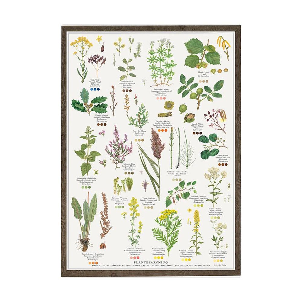 Plantefarvning Plakat A2
