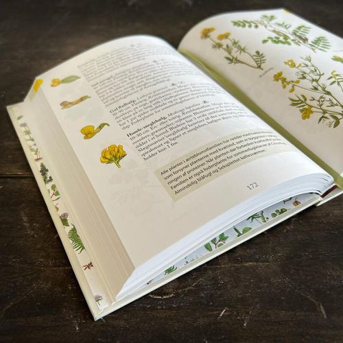 Bog Flora Kend Naturens Blomster af Kirsten Tind
