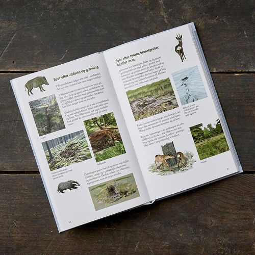 Bog Spor i Naturen - Softcover